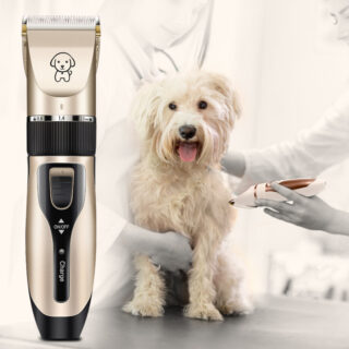 Dog Shaver Pet - Premium Quality Global Selection | Official  Store - Premium Global Collection - Dog Shaver Pet