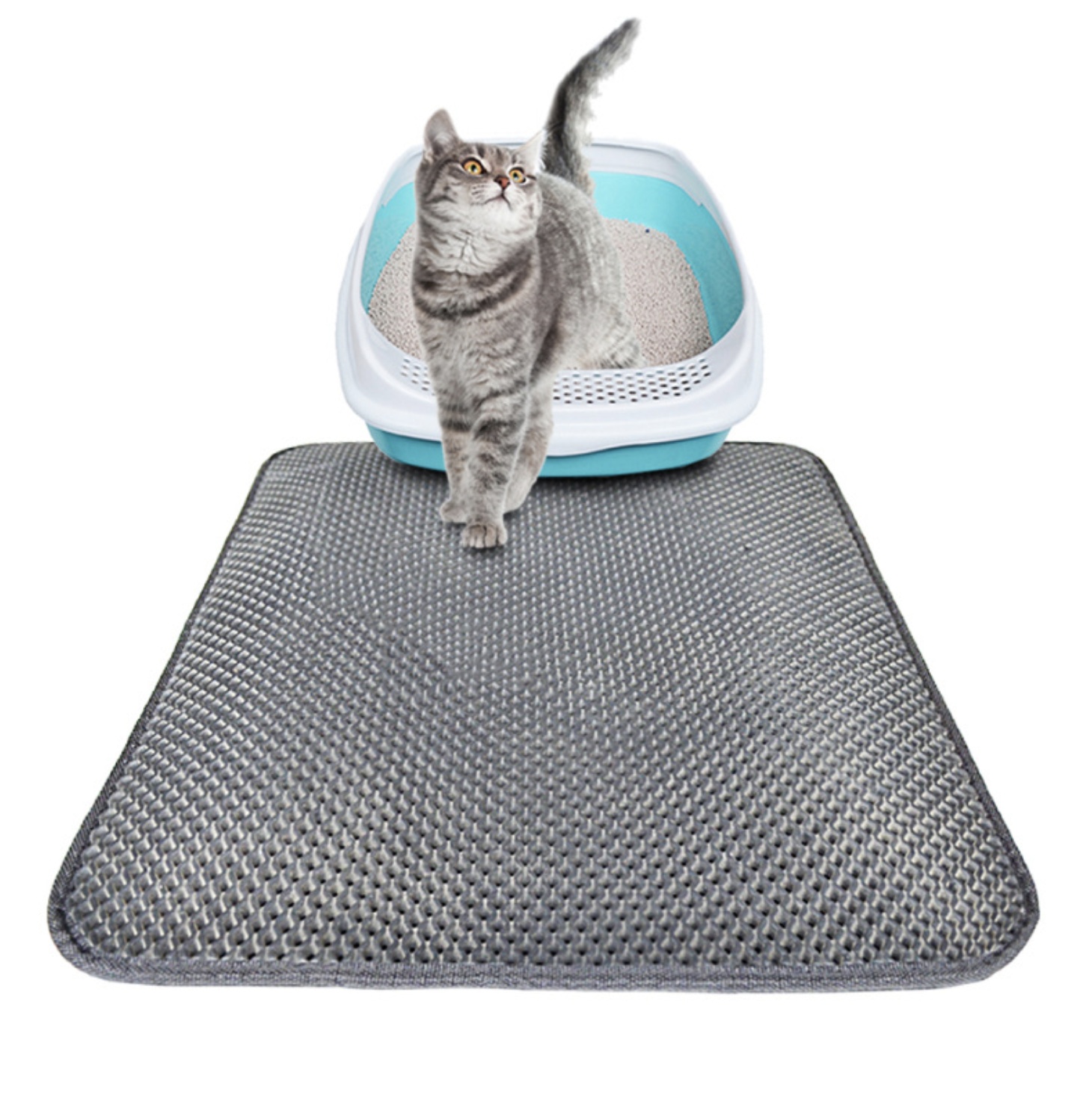 Double Layer Litter - Premium Quality Global Selection | Official Store - Premium Global Collection - Image 3