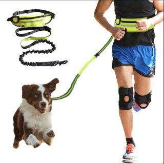 Hands Free Dog - Premium Quality Global Selection | Official  Store - Premium Global Collection - Hands Free Dog