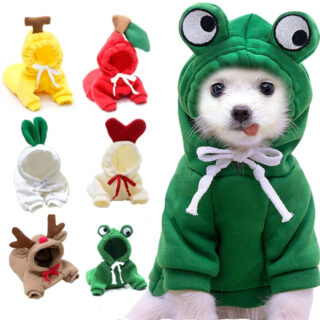Cute Fruit Dog - Premium Quality Global Selection | Official  Store - Premium Global Collection - Cute Fruit Dog