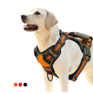 Dog Harness No - Premium Quality Global Selection | Official  Store - Premium Global Collection - Dog Harness No