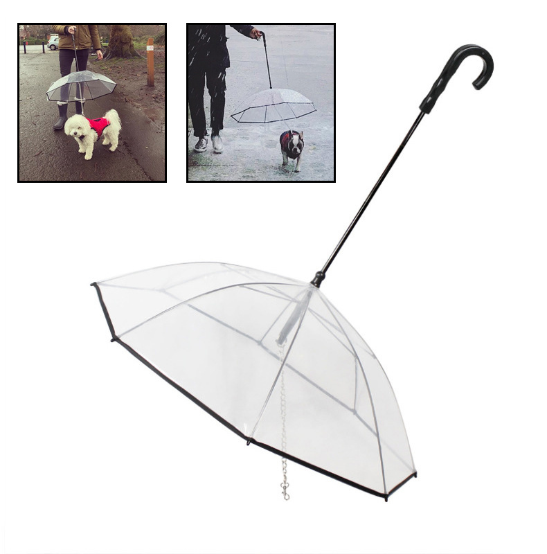 Dog's Transparent Umbrella - Premium Quality Global Selection | Official Store - Premium Global Collection - Dog's Transparent Umbrella